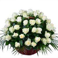 40 White roses basket