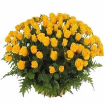 50 Yellow roses basket