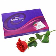 Cadburys celebration with 1 red rose