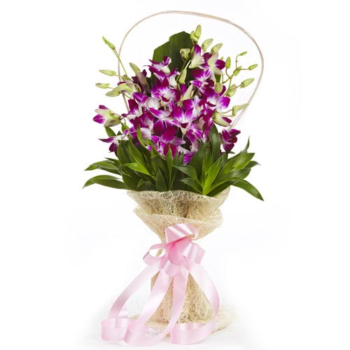 Bouquet of 10 purple orchids