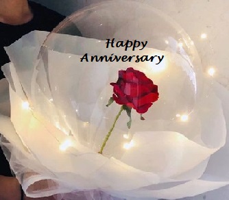 Single Bubble balloon Printed happy anniversary stuffed with red rose and wrapped in white net with fairy LED lights