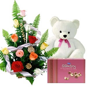 Midnight-12 Mix roses basket Teddy Celebration Box