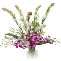 6 Tuberoses and 6 purple orchids Bouquet
