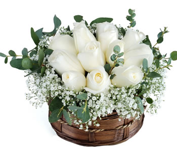 10 White roses basket